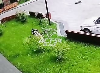 Jeune fille survit à une chute du 13ème étage à Novosibirsk, Russie