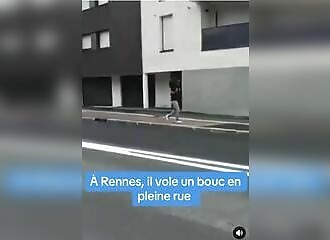 Surpris en train de voler un bélier à Rennes