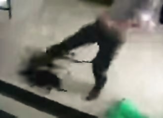 Mécontent de la décision du tribunal, il s'y rend avec des dizaines de serpent venimeux !