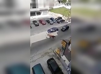 Cheval hors de contrôle VS voiture (Liban)