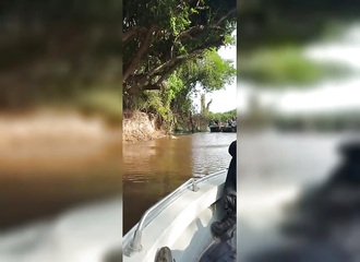Un jaguar transforme un caïman en fast-food dans les marais brésiliens