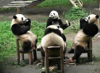 The fun and unusual photos of 06 June 2023