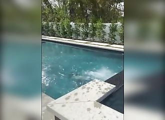 « Boss Bitch Fight Challenge » : quand des actrices et des cascadeuses organisent une grosse bagarre en ligne