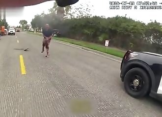 A Californian sings a Tina Turner hit while being shot by police after beheading his parents
