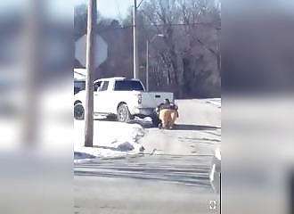 Une femme obèse se fait remorquer par un puissant pick-up !