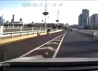 Oncoming driver hits several scooters (Warning - shocking)