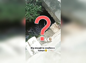 They catch a huge bug in a gutter of water