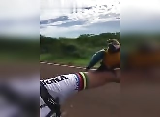 Un perroquet sauvage décide de rendre visite à un peloton de cyclistes