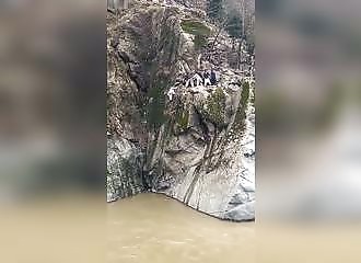 L’incroyable sauvetage d’un pigeon blessé (Pakistan)