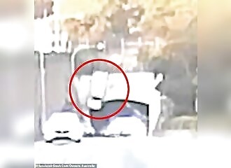 Incredible accident in Bexley: a car falls from the top of a freeway viaduct