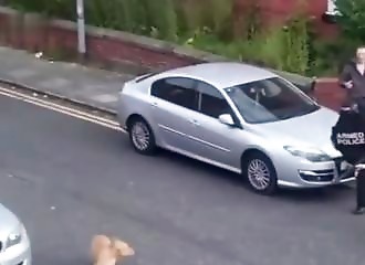 La police tire sur un XL Bully hors de contrôle ayant attaqué et blessé une femme