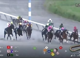 A jockey falls and is stepped on by another horse