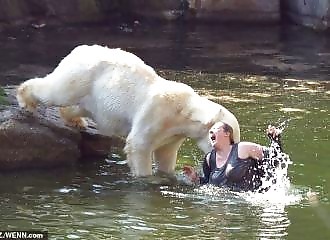 But why did she jump into the bear pool?