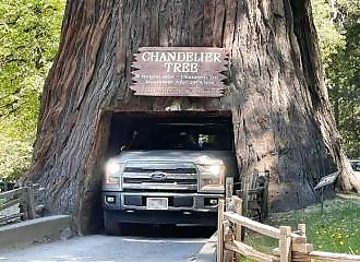 The fun and unusual photos of 11 September 2023