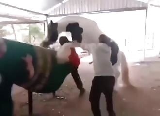 C'est à qui de monter qui maintenant, hein ?!!