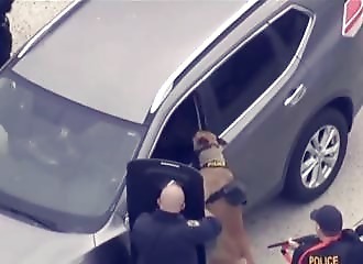 Le conducteur d’une voiture volée résiste fortement à son arrestation (Californie)