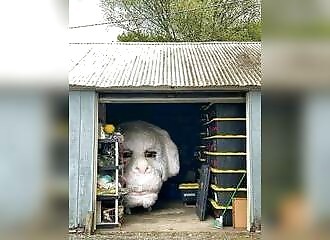 The fun and unusual photos of 07 June 2023