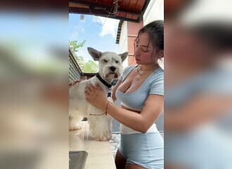 Pace que je sais que vous adorez les animaux