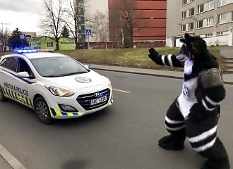 Les photos fun et insolites du 21 Février 2020