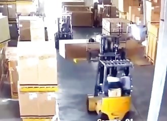 La sieste est terminée, il est temps de se réveiller !