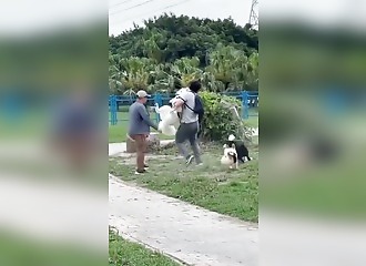 On en parle des maitres  qui ne contrôlent pas leur chiens ?