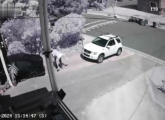 He kills his neighbor over a fallen tree