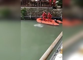 Un plongeur plonge au mauvais endroit