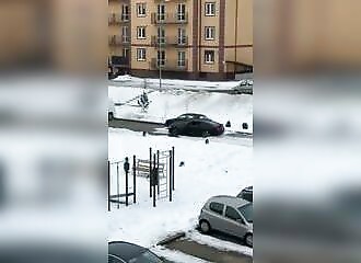Driver plows into luxury cars before being subdued