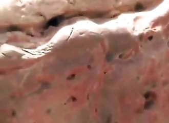 En 3 secondes, il réalise une incroyable prise de poissons