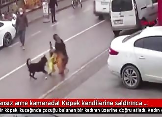 Attaquée par un chien, elle s'enfuit en laissant son enfant derrière elle