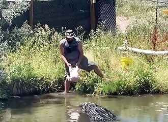 Close call: a man narrowly escapes a hungry alligator