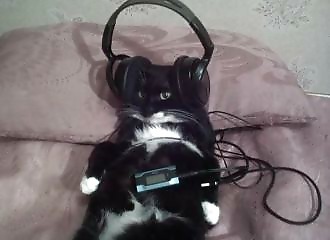 The fun and unusual photos of 10 May 2023