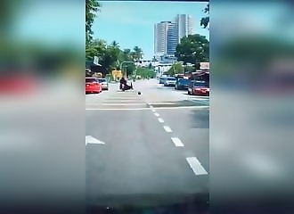 Méfiez vous des cocotiers !