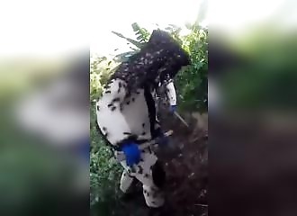 Détruire un nid de frelons géants !