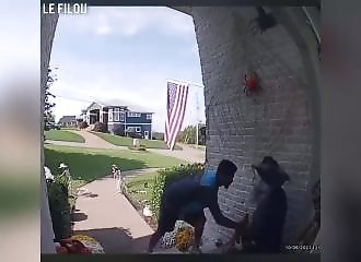 Ce livreur voulait juste piquer un bonbon, et se paye la frayeur de sa vie !