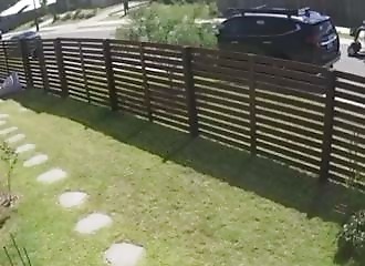 Son chien attaque un homme handicapé, elle est condamnée par la justice (Vidéo)