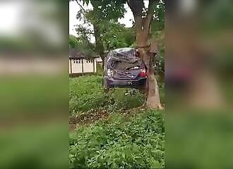 Moment magique: La récolte d'une voiture