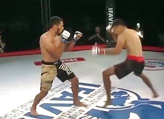 The referee steps in to stop the match and knocks out the fighter on the ground himself