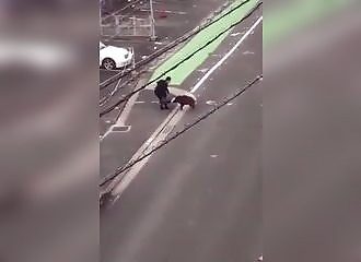  A wild boar randomly attacks a man passing by! 