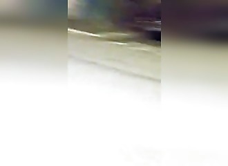 Les feux d’artifice du Nouvel An tuent des centaines d’oiseaux (Rome)