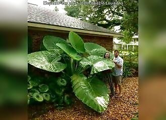 The fun and unusual photos of 03 July 2023