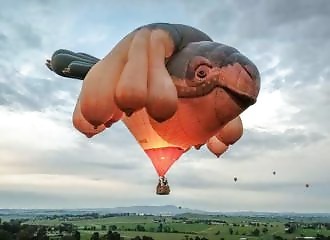 The fun and unusual photos of 08 June 2023