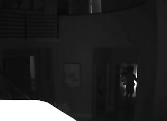 un homme abat un ours entré chez lui avec un ar-15