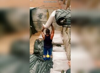 Technique maîtrisée pour empiler des sacs de sucre de 50 kg