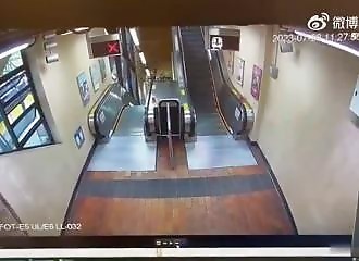 Sanglier sauvage attaque deux personnes à Hongkong