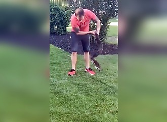 He's playing the hero with a big snake—the snake didn't like that