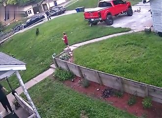 Shock: a policeman shoots a dog in front of children and their mother