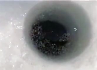 Comment savoir s’il y a des poissons sous la glace ?