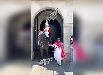 Elle s'approche trop d'un garde royal et se fait mordre par le cheval