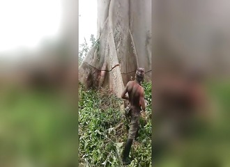 1 500 ans d'existence effacés en quelques coups de tronçonneuse